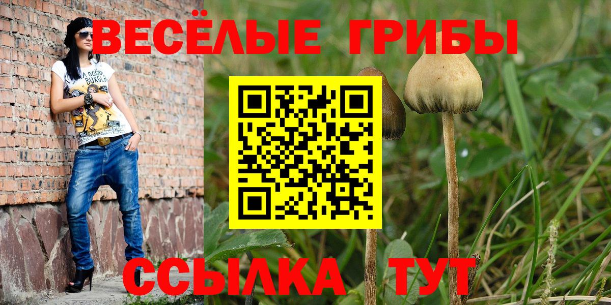 Галлюциногенные грибы GOLDEN TEACHER  Вход с VPN  Калининград  Псилоцибиновые грибы ЛСД 