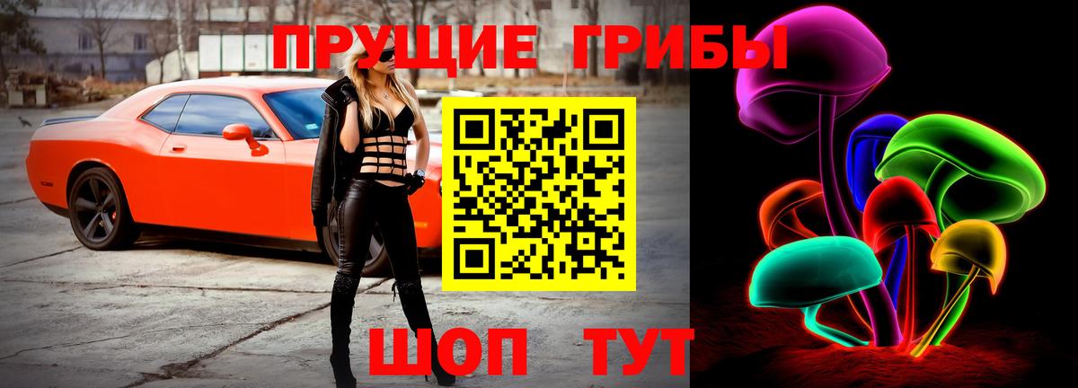 Галлюциногенные грибы GOLDEN TEACHER Калининград